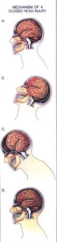 Dr. Duschatko's page